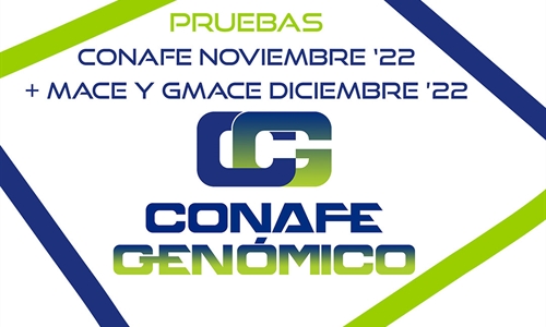 Nuevas pruebas CONAFE Noviembre 2022 + MACE y GMACE Diciembre 2022