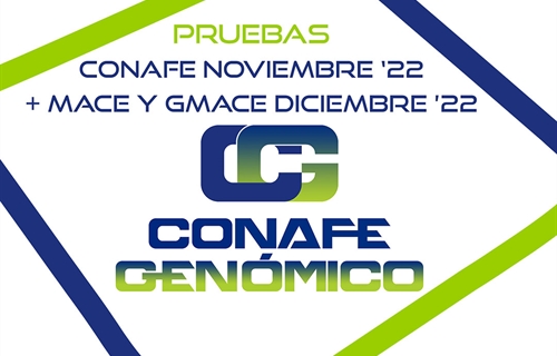 Nuevas pruebas CONAFE Noviembre 2022 + MACE y GMACE Diciembre 2022