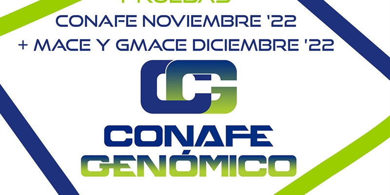 Nuevas pruebas CONAFE Noviembre 2022 + MACE y GMACE Diciembre 2022