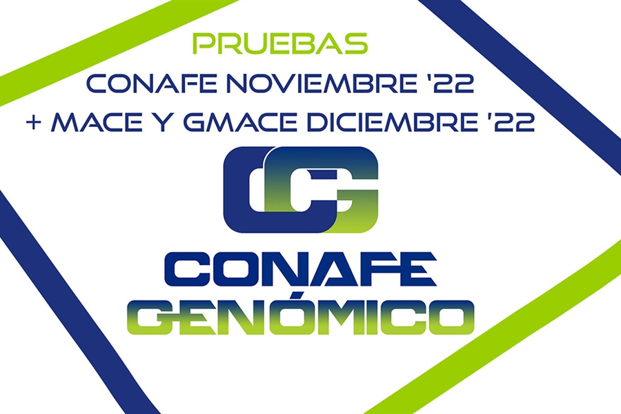 Nuevas pruebas CONAFE Noviembre 2022 + MACE y GMACE Diciembre 2022