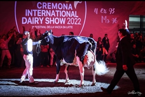 Llinde Ariel Jordan, Vaca Campeona Suprema del Concurso Internacional de Cremona 2022
