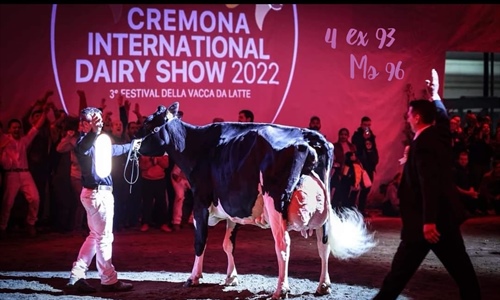 Llinde Ariel Jordan, Vaca Campeona Suprema del Concurso Internacional...