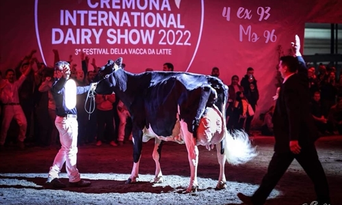 Llinde Ariel Jordan, Vaca Campeona Suprema del Concurso Internacional...