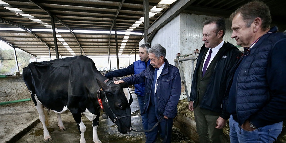 Máxima distinción de Cantabria a la ganadería SAT Ceceño como...
