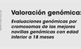 Valoracin genmica: Evaluaciones genmicas por cromosomas de las mejores novillas genmicas con edad inferior a 18 meses