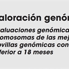 Valoracin genmica: Evaluaciones genmicas por cromosomas de las mejores novillas genmicas con edad inferior a 18 meses