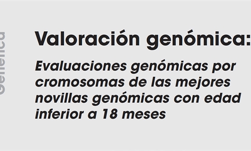 Valoración genómica: Evaluaciones genómicas por cromosomas de las...
