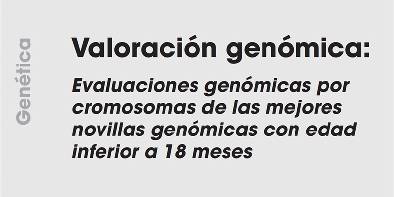 Valoracin genmica: Evaluaciones genmicas por cromosomas de las mejores novillas genmicas con edad inferior a 18 meses