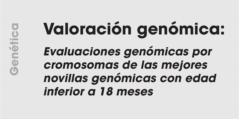 Valoración genómica: Evaluaciones genómicas por cromosomas de las mejores novillas genómicas con edad inferior a 18 meses
