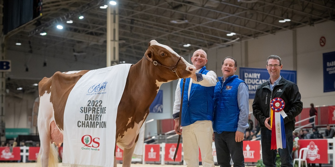 Blondin Rd Unstopabull Maple-Red, Vaca Campeona Suprema de Canad 2022