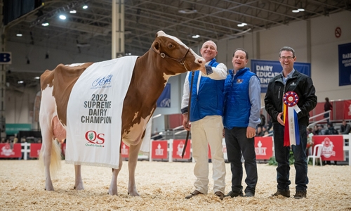 Blondin Rd Unstopabull Maple-Red, Vaca Campeona Suprema de Canad 2022