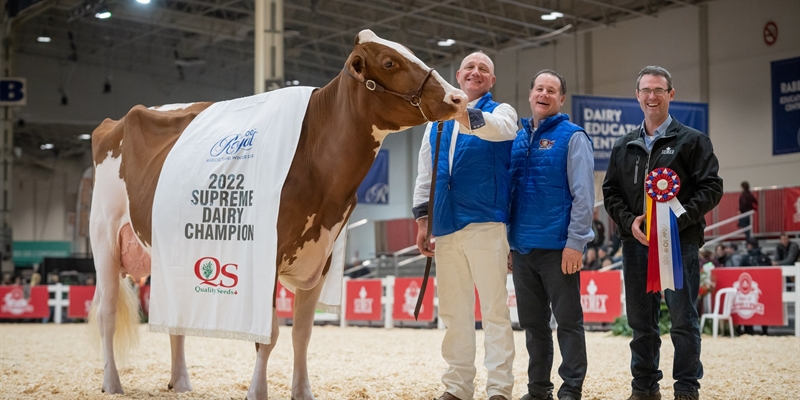 Blondin Rd Unstopabull Maple-Red, Vaca Campeona Suprema de Canad 2022