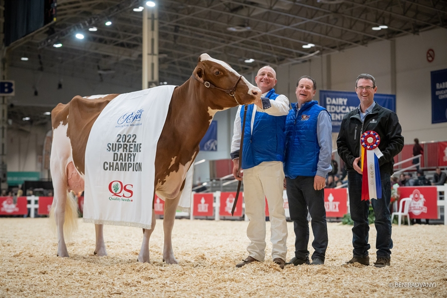 Blondin Rd Unstopabull Maple-Red, Vaca Campeona Suprema de Canad 2022