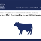 #RealidadGanadera: Decrecen las ventas de antibióticos en animales un 47% en la Unión Europea