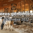 Nuevos toros genómicos con Prueba Oficial: Evaluación genómica de diciembre 2022
