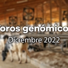 Nuevos toros genmicos con Prueba Oficial: Evaluacin genmica de diciembre 2022