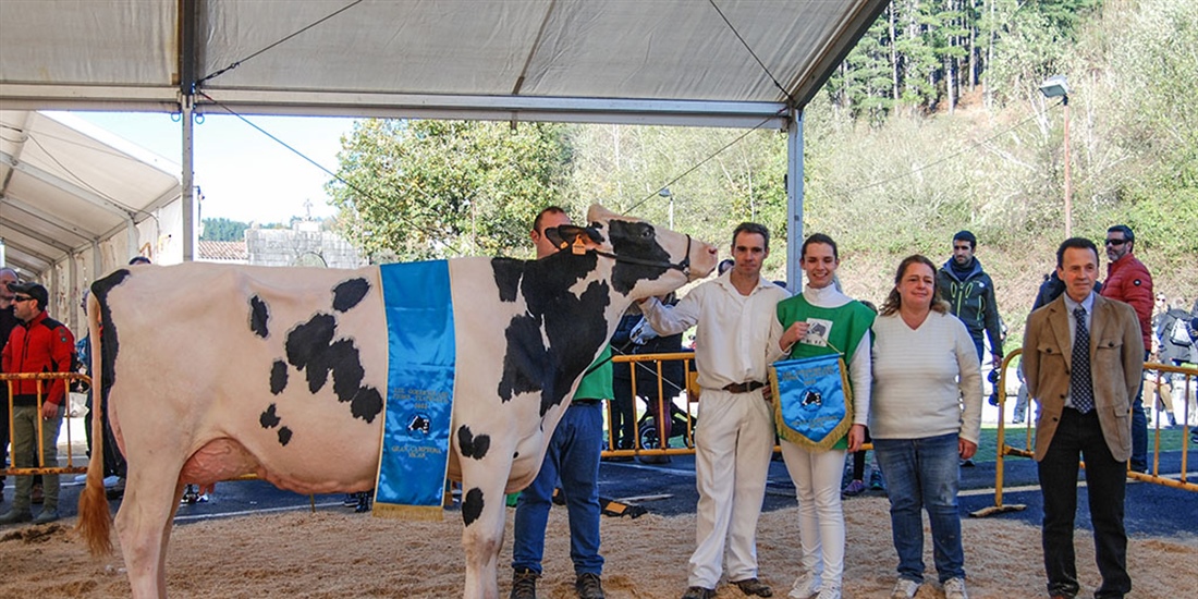 Oralia (Ganadera Murrieta), Vaca Gran Campeona del Concurso de la Raza...
