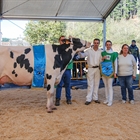 Oralia (Ganadera Murrieta), Vaca Gran Campeona del Concurso de la Raza Frisona de Gordexola 2022