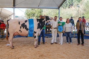 Oralia (Ganadería Murrieta), Vaca Gran Campeona del Concurso de la Raza Frisona de Gordexola 2022