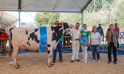 Oralia (Ganadera Murrieta), Vaca Gran Campeona del Concurso de la Raza...