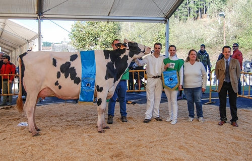 Oralia (Ganadera Murrieta), Vaca Gran Campeona del Concurso de la Raza...
