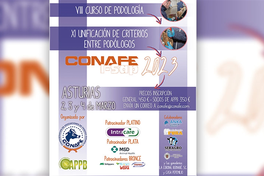 XI Unificaci�n de criterios entre pod�logos I-SAP y VIII Curso de...