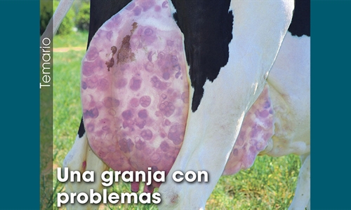 Una granja con problemas