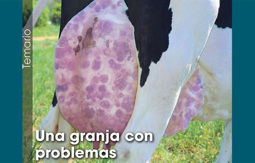 Una granja con problemas