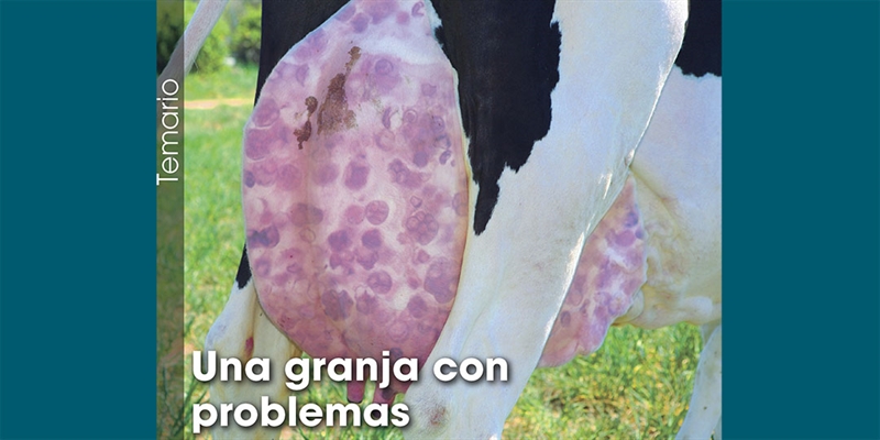 Una granja con problemas