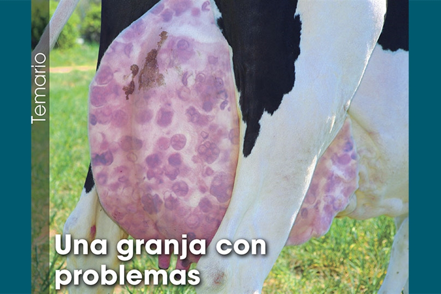 Una granja con problemas
