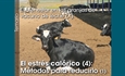 El bienestar en las granjas de vacuno de leche (X): El estrs calrico (4): Mtodos para reducirlo (1)