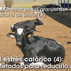 El bienestar en las granjas de vacuno de leche (X): El estrs calrico (4): Mtodos para reducirlo (1)