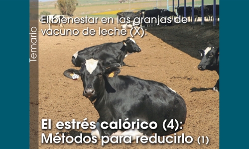 El bienestar en las granjas de vacuno de leche (X): El estrs calrico...