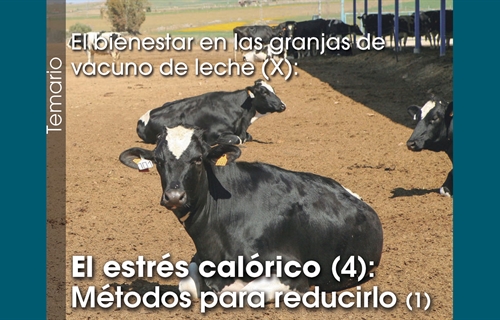 El bienestar en las granjas de vacuno de leche (X): El estrés calórico...