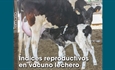 ndices reproductivos en vacuno lechero
