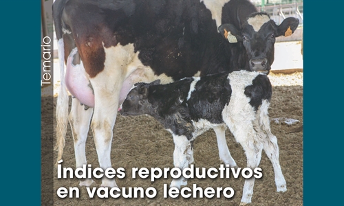Índices reproductivos en vacuno lechero