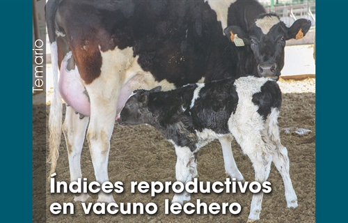 ndices reproductivos en vacuno lechero