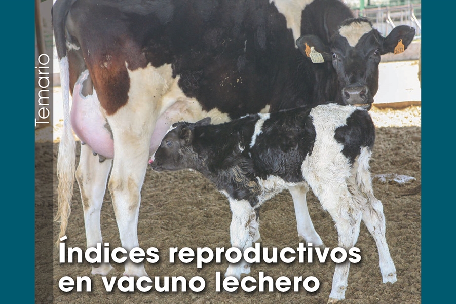ndices reproductivos en vacuno lechero