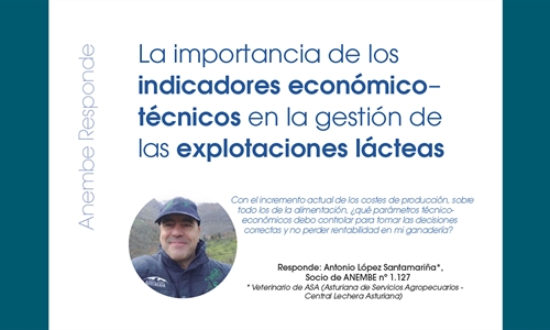 La importancia de los  indicadores econmico-tcnicos en la gestin de...