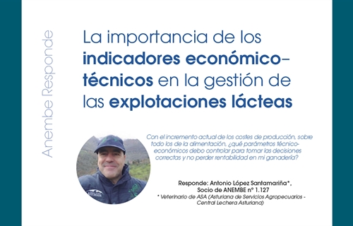 La importancia de los  indicadores econmico-tcnicos en la gestin de...