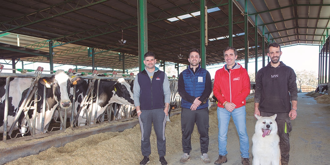 Granja Vistahermosa, pasin por la raza frisona