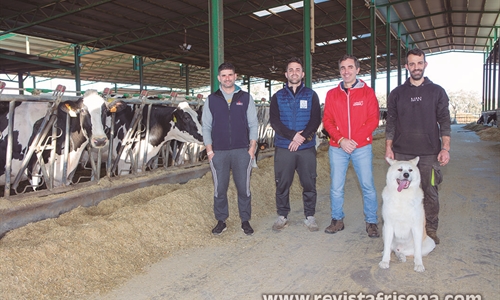 Granja Vistahermosa, pasin por la raza frisona