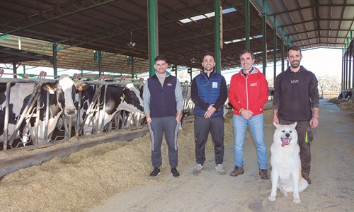 Granja Vistahermosa, pasin por la raza frisona