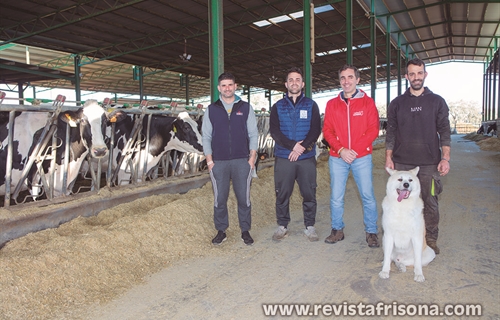 Granja Vistahermosa, pasin por la raza frisona