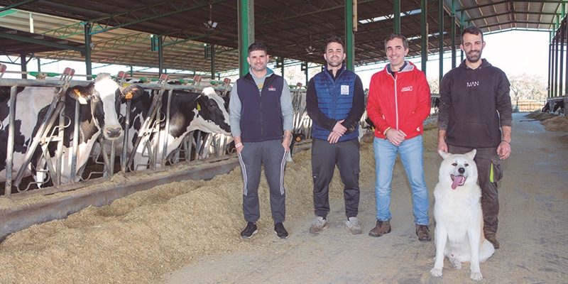 Granja Vistahermosa, pasin por la raza frisona