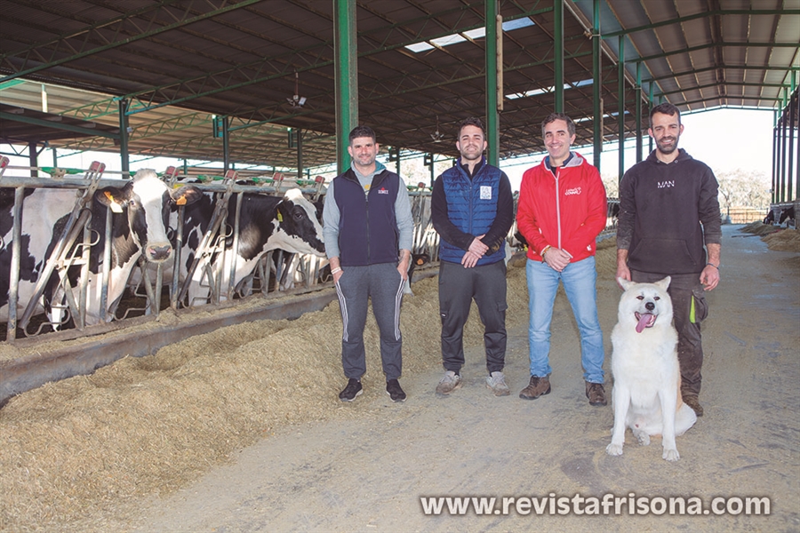 Granja Vistahermosa, pasin por la raza frisona