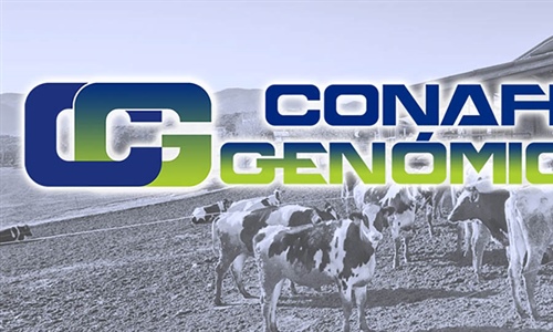 Actualización de las pruebas genómicas de Hembras CONAFE Enero 2023