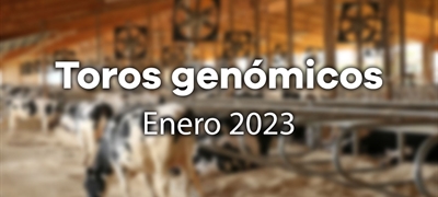 Nuevos toros genómicos con Prueba Oficial: Evaluación genómica de enero 2023