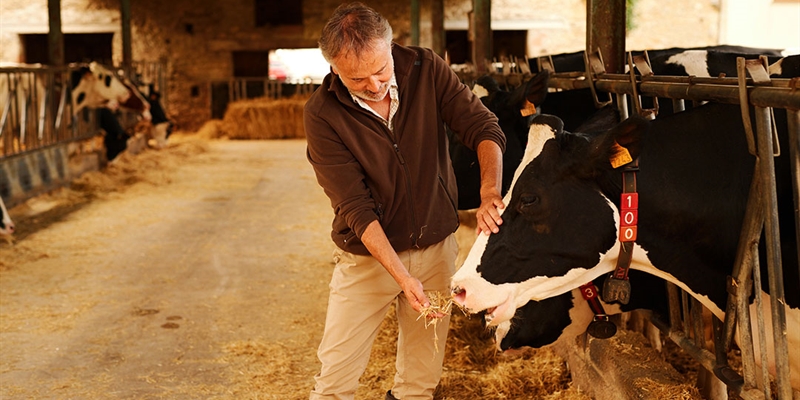 Daniel Ferreiro (InLac): “El modelo de producción europeo abre puertas a los lácteos en los mercados exteriores”