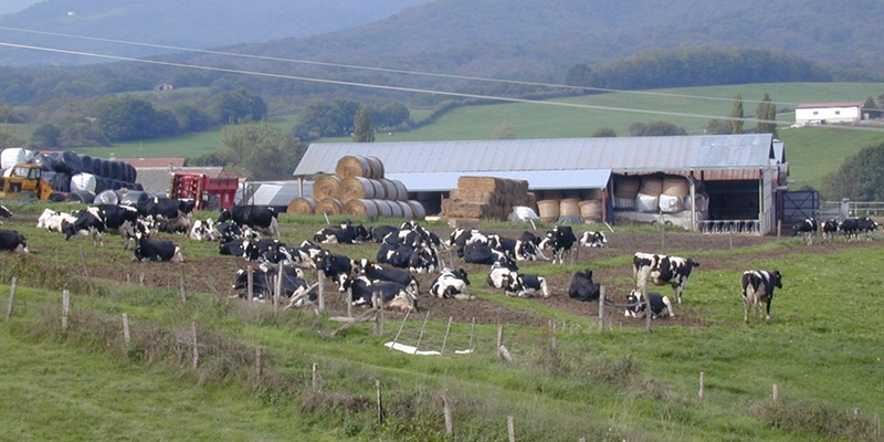 #RealidadGanadera: ¿Podemos imaginar un mundo sin ganadería?